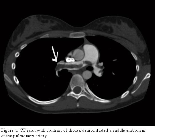 f04.fig1-Figure-1-leidr.texti