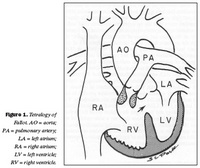 2004-04-f01-fig1