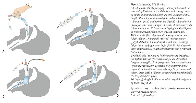 f03-fig-2