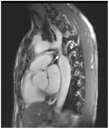 f04-fig2