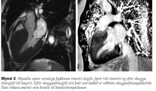 f04-fig2