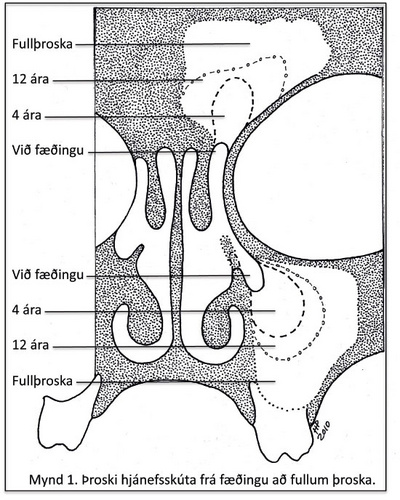 u03-fig3