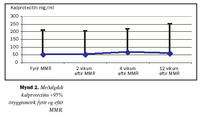 Mynd 2