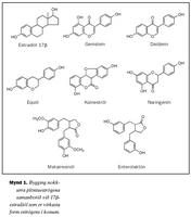 Mynd 1