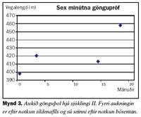 Mynd 3