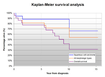 fo1-fig3