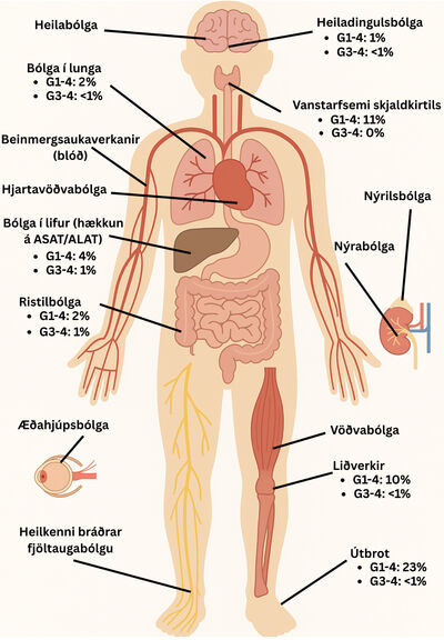 Mynd 3. Aukaverkanir vegna ónæmisörvandi lyfja geta lagst á eftirfarandi líffærakerfi: heila, skjaldkirtil, lungu, hjarta, lifur, beinmerg, meltingarveg, nýra, nýril (adrenal gland), ristil, vöðva, liði, húð, augu og úttaugakerfi (til dæmis heilkenni bráðrar fjöltaugabólgu (Guillain–Barré syndrome)). Ekki er þó um að ræða tæmandi lista. Einnig má sjá algengi aukaverkana fyrir þau líffæri þar sem algengt er að aukaverkanir komi fram. Tölurnar gilda fyrir PD-1/PD-L1-hemla sem einlyfjameðferð, en það er algengasta lyfjaskotmarkið á Íslandi, samanber mynd 2. Aukaverkanir eru stigaðar eftir gráðum, en G1 er vægasta formið og G5 er alvarlegasta formið og veldur andláti.12